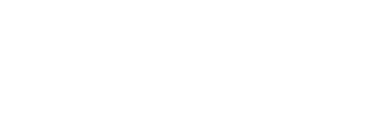 Logo Maiora